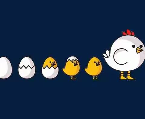 🐣养鸡手册🐥——亲近自然，感受生命，收获成长