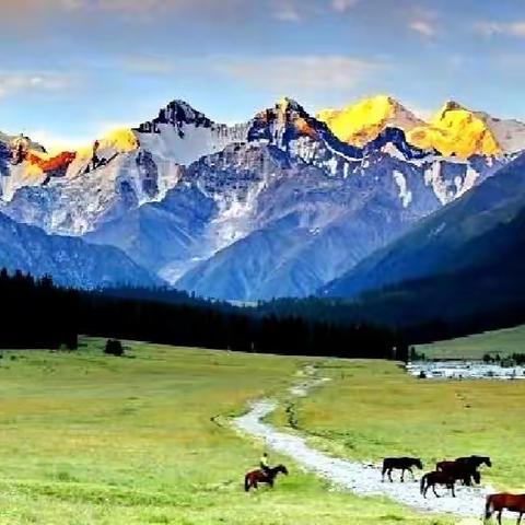 新疆的秋天 美到窒息