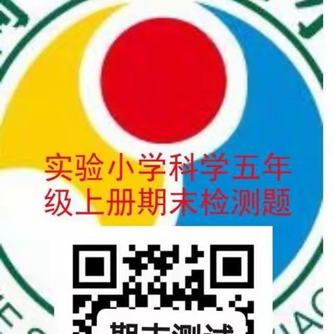 期末复习求高效———科学组教研活动