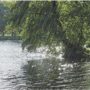 这个五月，有点凉