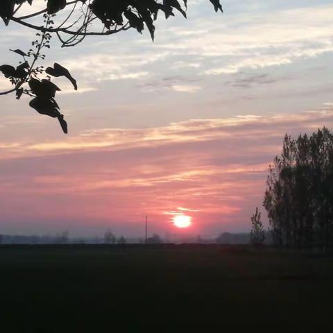 浅冬日暖，成长有期