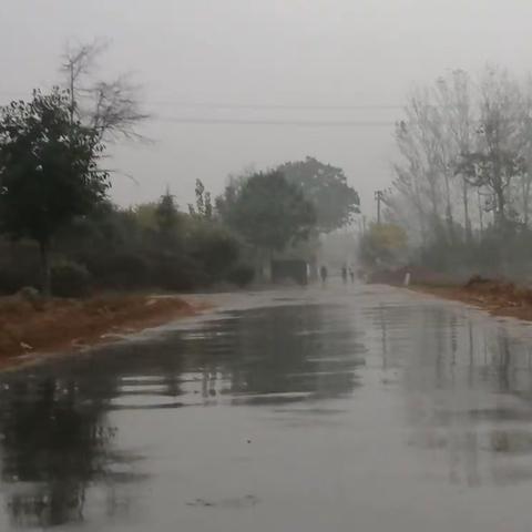 初冬晨雨(新韵)