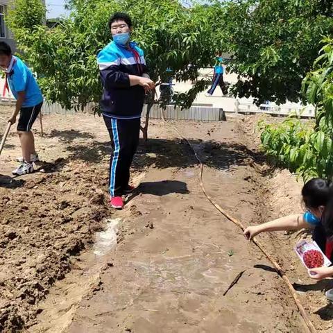 阳光少年，播种希望——四场小学劳动基地活动纪实