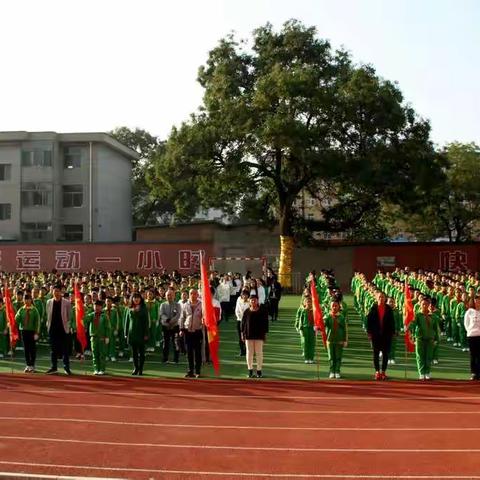 泰山庙小学秋季达标运动会