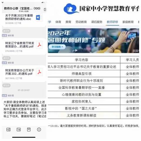 学无止境勤为径，业精于勤磨匠心——宝国老镇中心小学暑期教师培训纪实