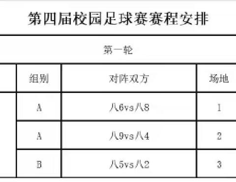 绿茵场上的飒爽英姿