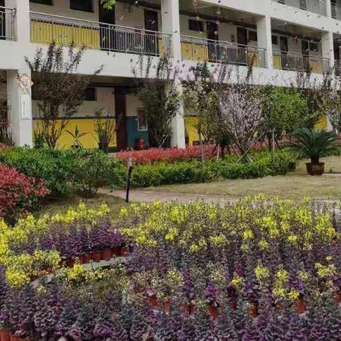 【教师培训】长江东路第二小学教师素养再提升（三）