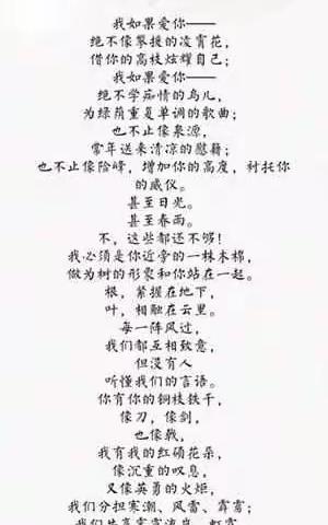 《致橡树》朗诵