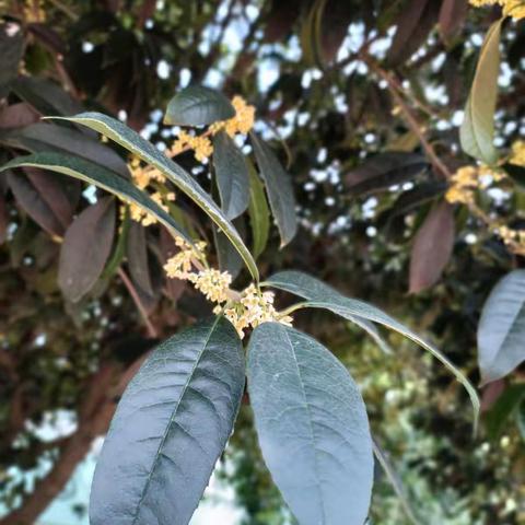 叮叮宝贝的中秋体验之旅🎉🎉🎉