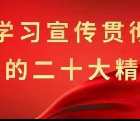 铭于心践于行，奋楫扬帆再出发———民勤县实验幼儿园党支部掀起学习贯彻党的二十大精神热潮