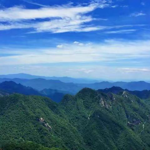 守护绿水青山    争做秦岭小卫士