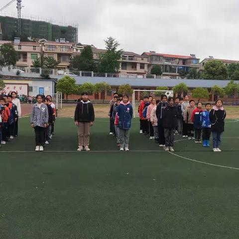 劳动实践——拔草篇