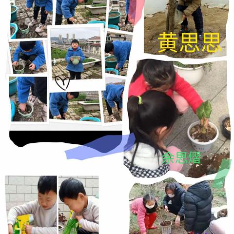 啟福小学二(1)班“我是植树种花小能手”实践活动