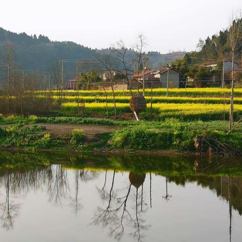 德阳市旌阳区双东镇大回湾春游