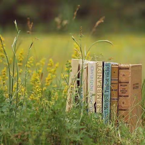 “双减”之下——让孩子们快乐阅读