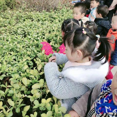 大坞中心幼儿园小二班植树节活动