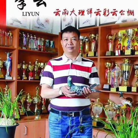 喜讯！云祥鸽苑李云喜夺嘉兴“中国星”三关综合八位、院内季军