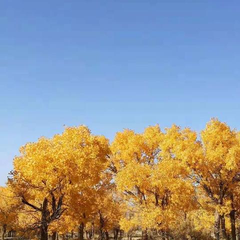 正和物业清洁服务员的风采