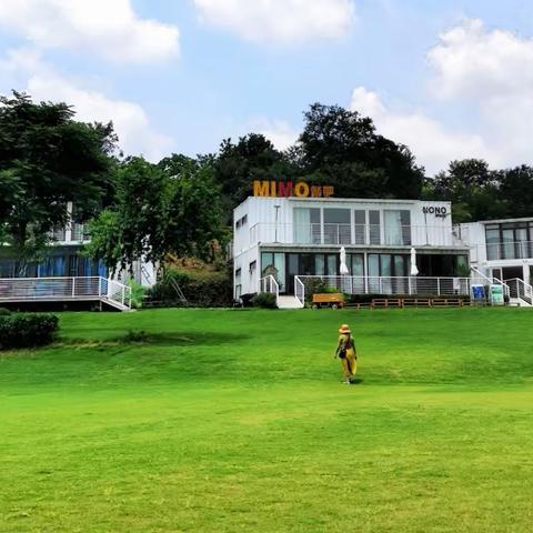 来了真心不想走——乡伴苏家