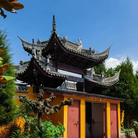 一来再来 心心念念！——插花寺