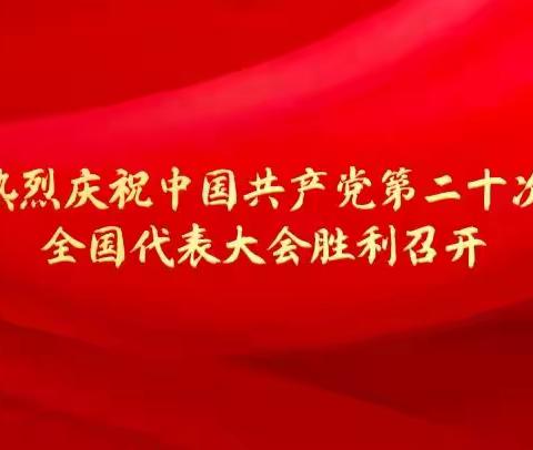 凝聚磅礴伟力 感悟中国力量