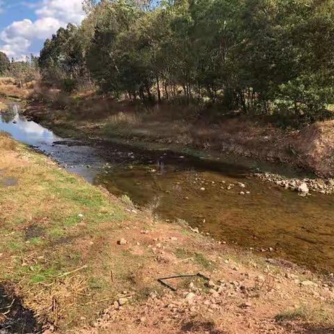 龙川河治理三期和石者河河道治理工程全面开工建设