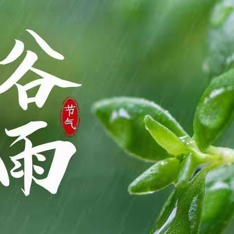 谷雨主题活动