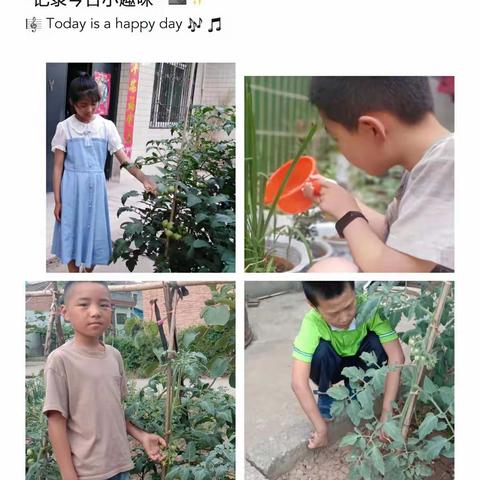 “劳动励心智，实践促成长”楼观镇大玉小学劳动教育系列活动