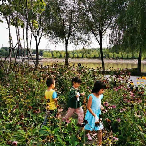 2019年9月2日—2019年9月6日