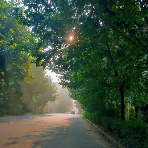 第十二组阅读打卡