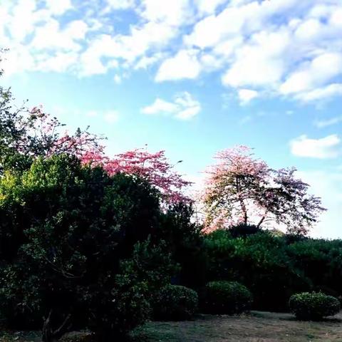 人生没有白走的路，每走一步都算数——回顾我的2022