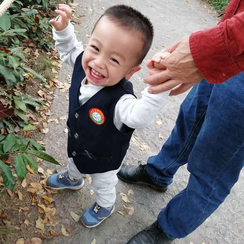 写在果果会独走的今晚