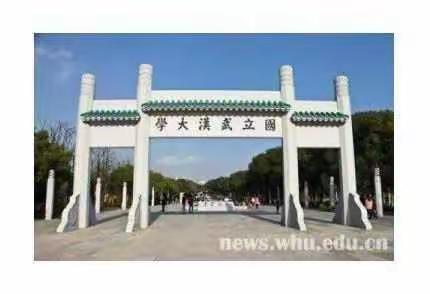 岁月峥嵘释芳华