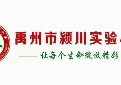 博众师之所长，聚群英之荟萃——颍川实验小学线上班主任工作交流会