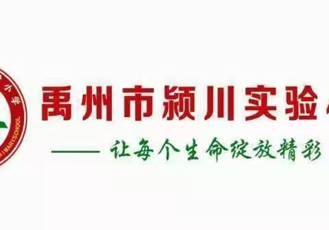 “疫”起上网课，网课也精彩——颍川实验小学网课纪实