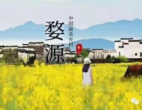 水墨婺源赏花行