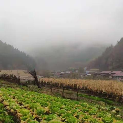 登故乡的山，赏最美的秋！