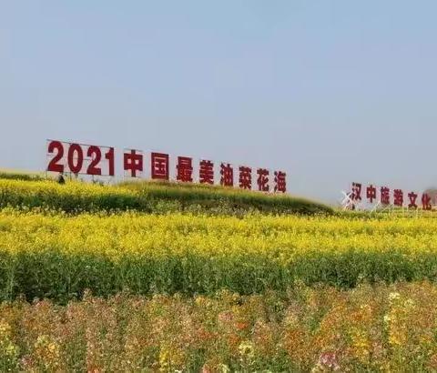 石泉•西乡二日游：2021油菜花海汉中旅游文化节西乡主会场