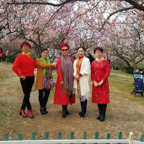 赏梅2019年3月6曰