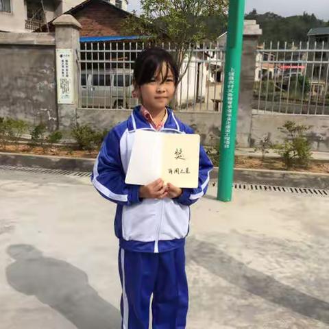 茗洋小学：第八周主要工作汇报