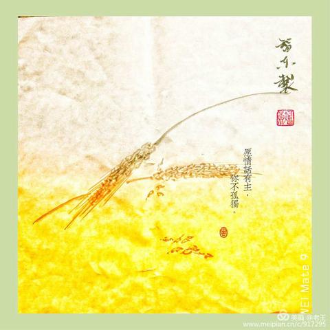 寒假有意义的事