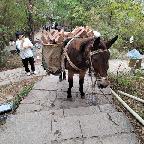 爬金华尖峰山