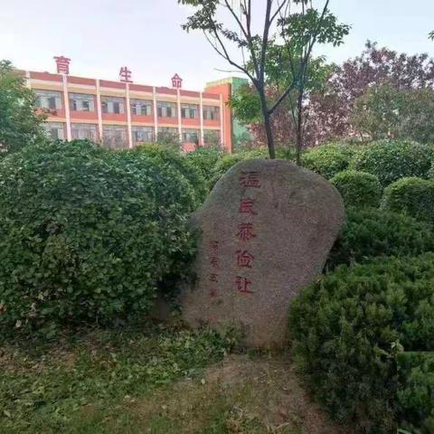 学习新课标，研究大单元——高新区第二小学数学教师参加基地学校教研活动纪实