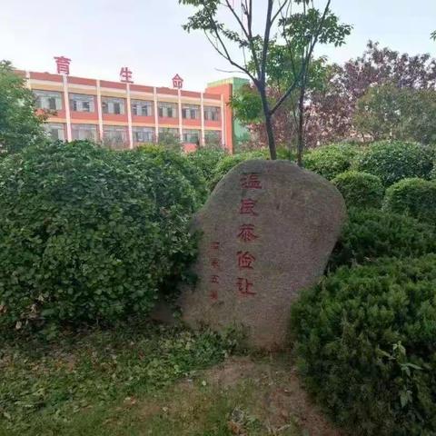 不断学习 提升素养---高新区第二小学数学教师参与全市数学文化引领下的小学数学“数量关系”大单元研讨会