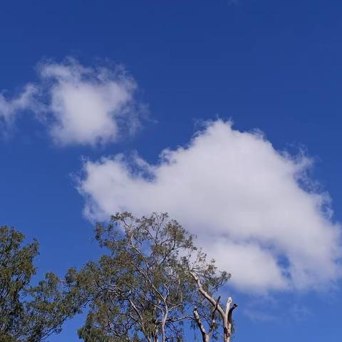 天空中的照片