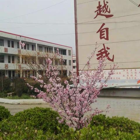 课例研究，我们在路上