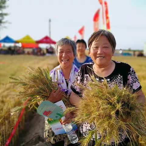 【芒种】：忙收忙种忙农事，增产不忘芸乐收！