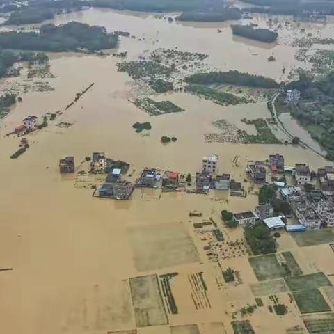 雨线北移，莫让2017年花生掉一地的悲剧再次上演！