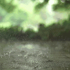 南方雨未歇，北方雨又至。别忘记，良田被淹我们也曾经历