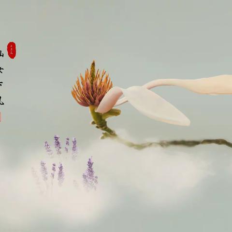 百媚千娇